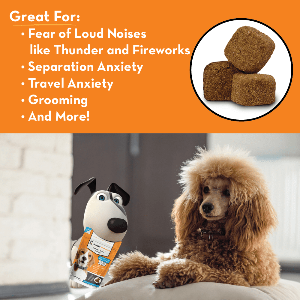 thunder wonder dog treats