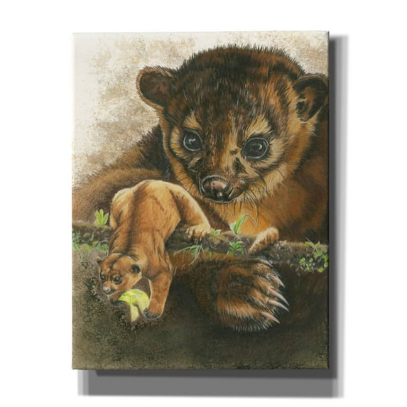 Epic Graffiti 'Kinkajou' by Barbara Keith, Canvas Wall Art, 26"x34"
