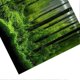 thumbnail image 4 of PVC Adhesive Underwater Forest Tank Background Poster Backdrop Decoration Paper (61*41cm), 4 of 4