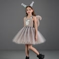 thumbnail image 2 of Rggeeun Toddler Adorable Squirrel Dress For Girls Stage Performance Play Pretend Tutu Dresses Versatile Casual O-Neck Sundress, 2 of 6