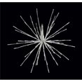 thumbnail image 1 of Holiday Bright Lights 274667 24 Po Radiant Blast&44; Blanc Pur, 1 of 1