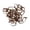 Copper, variant on 50pcs French Lever Back Earring Wire Findings Ear Stud Clip Jewelry Findings - White
