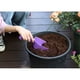 thumbnail image 3 of Plastic Garden Shovel Plant Hand Shovel Trowels, Bonsai Soils, 3 of 4