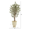 thumbnail image 2 of Nearly Natural 64in. Olive Artificial Tree in Decorative Urn, 2 of 3