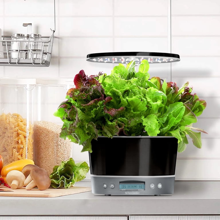 AeroGarden Harvest Elite 360, Platinum with Gourmet Herbs Seed Kit