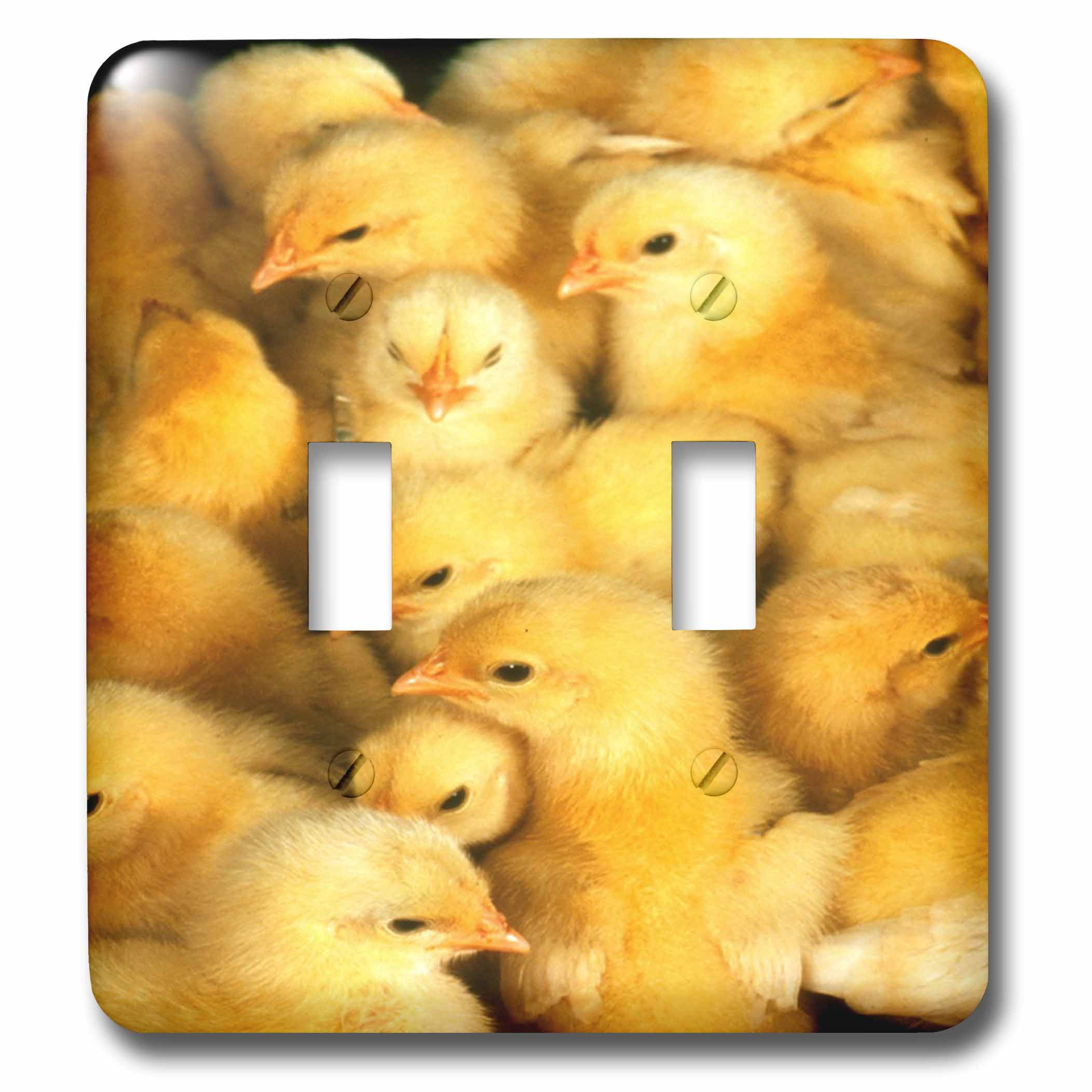 3dRose lsp_1218_2Baby Chicks Double Toggle Switch 