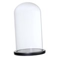 thumbnail image 2 of 2 × Vasos Transparentes a Prueba de Polvo Cloches Contenedores de Plantas Y, 2 of 9