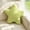 Green, variant on ZZkhGO Grids Fabric Star Plushie Pillow, Lumbar Support Cushion with Soft Plush, Decorative Throw Pillow for Bedroom Living Room Couch, Blue