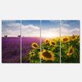 thumbnail image 2 of Lavender and Sunflower Fields - Floral Canvas Art Print, 2 of 3