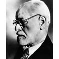 thumbnail image 2 of Sigmund Freud History (18 x 24), 2 of 2