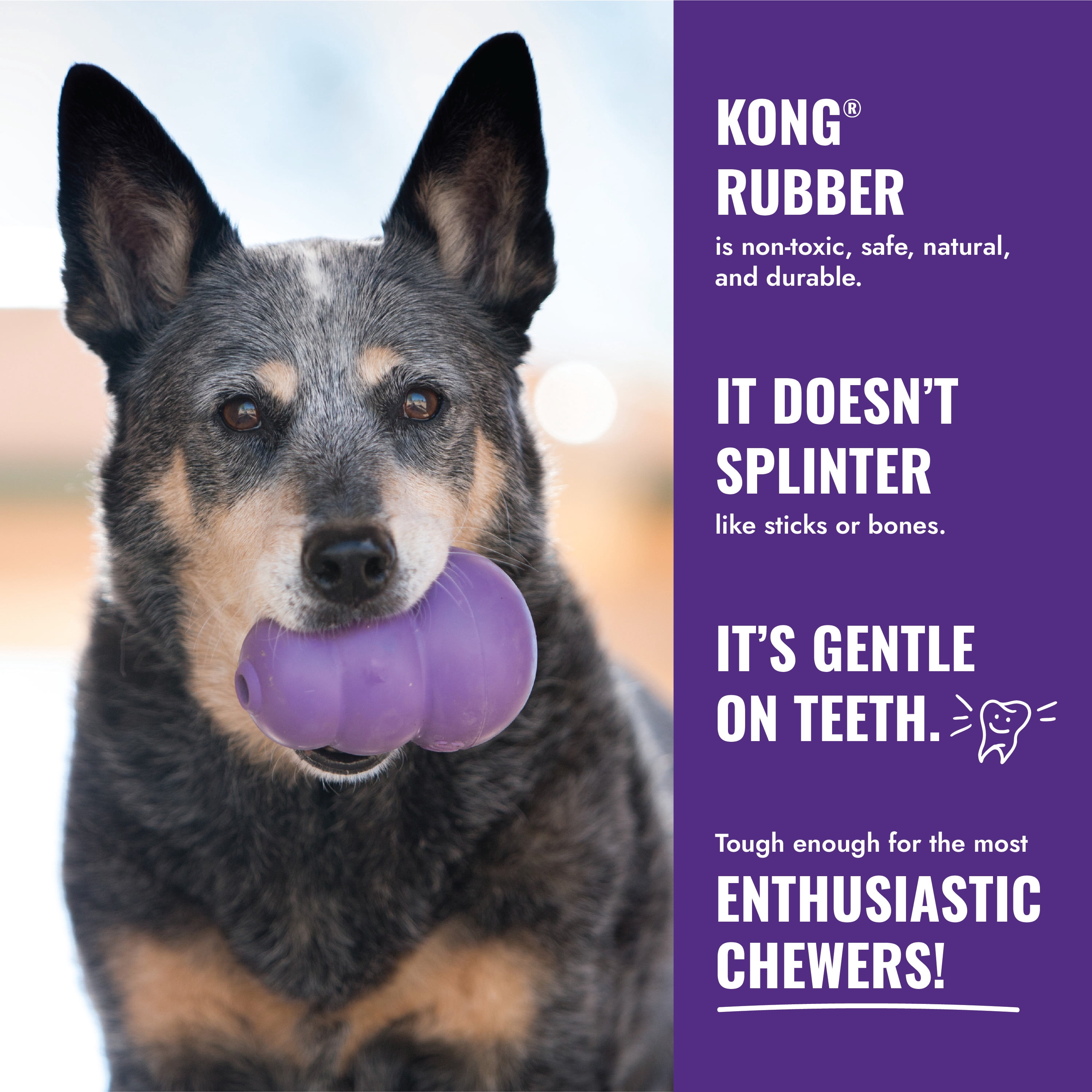 KONG® Classic Rubber Senior Dog Toy for Light Chewers, Large, for Dogs Between 30-65 lbs