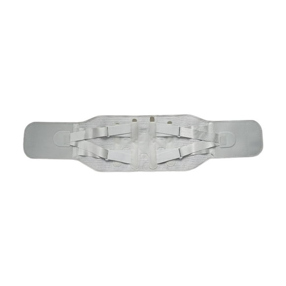 Tachiuwa Ceinture de Soutien Lombaire, Attelle Lombaire Ergonomique, Gris G