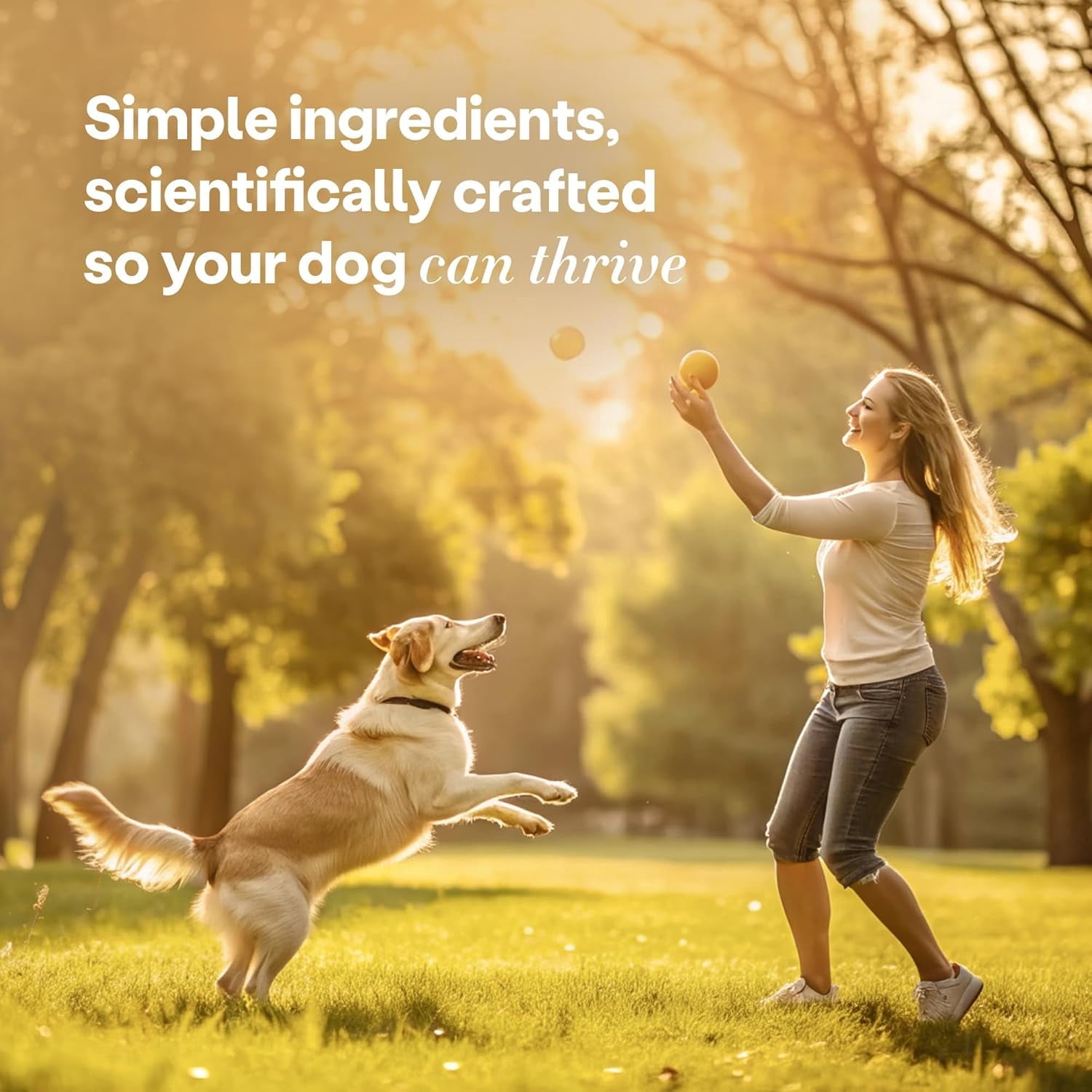 Wild Earth Superfood Dog Treats, Plant Based Dog Treats with Omega Acids, Prebiotics & Koji Protein, No Fillers, Veterinarian-Developed, Peanut Butter Flavor 3 Pack