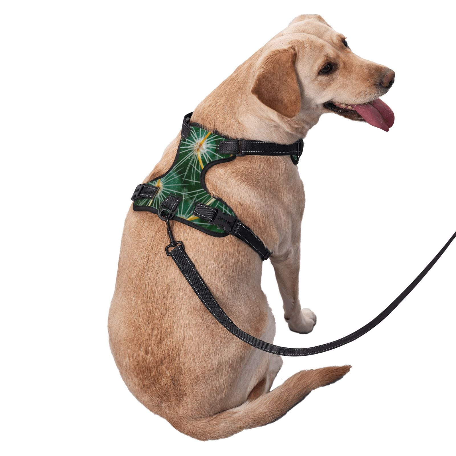 Vsdgher Thorns Of Macro Cactus Dog Harness, No-Pull Pet Harness, Dog Vest, Pet Vest for Small to Large Dogs-
