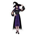 thumbnail image 1 of Disfraz Way To Celebrate Bruja Salem Talla Mediana Halloween, 1 of 4