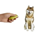 thumbnail image 5 of MarinaVida Pet Dog Obedient Agility Training Device Two In One Training Whistle Multicolor Selection Pet Dog Toy, 5 of 5