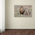thumbnail image 3 of Trademark Fine Art 'Lion' Canvas Art by Alessandro Catta, 3 of 3