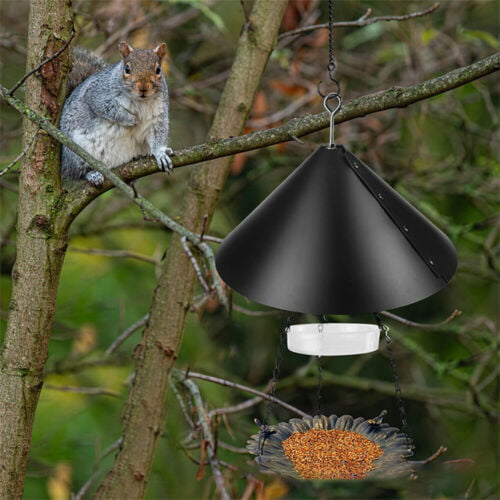 Squirrel Baffler Bird Feeder Pole Non Electric Plastic Clear Transparent Design 