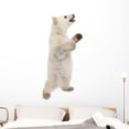thumbnail image 1 of Polar Bear Cub Standing Wall Mural by Wallmonkeys Peel and Stick Graphic (48 in H x 35 in W) WM347063, 1 of 4