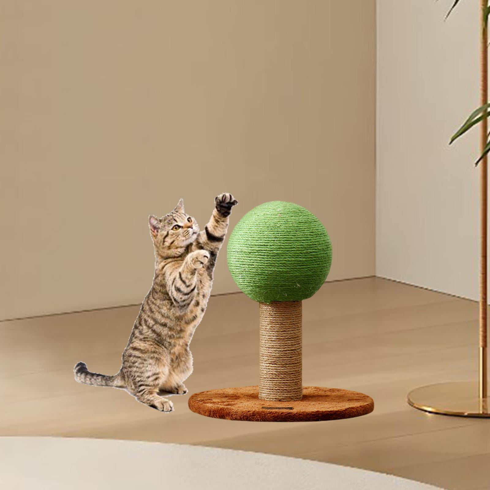 EHJRE Cat Scratching Posts Pet Toys Kitten Scratching Posts Furniture Protectors Kitten Scratching Posts Indoor Cat Sleeping Pet Supplies Single Ball