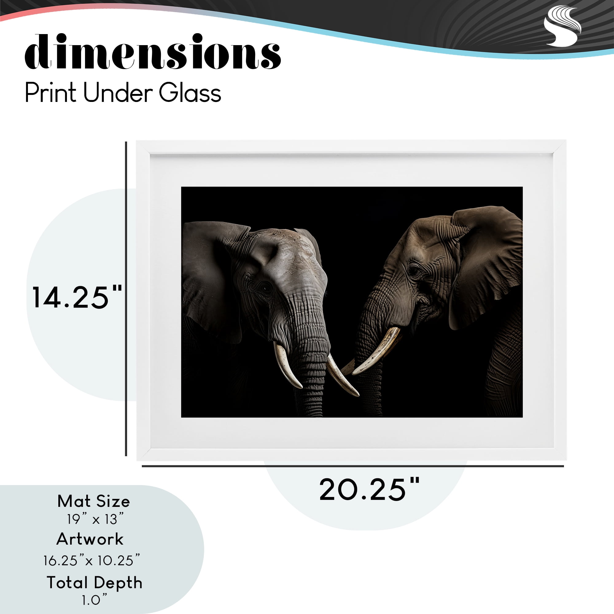 Pachyderm Elephant Pair White Framed Print Under Glass, design by Decent Exposures
