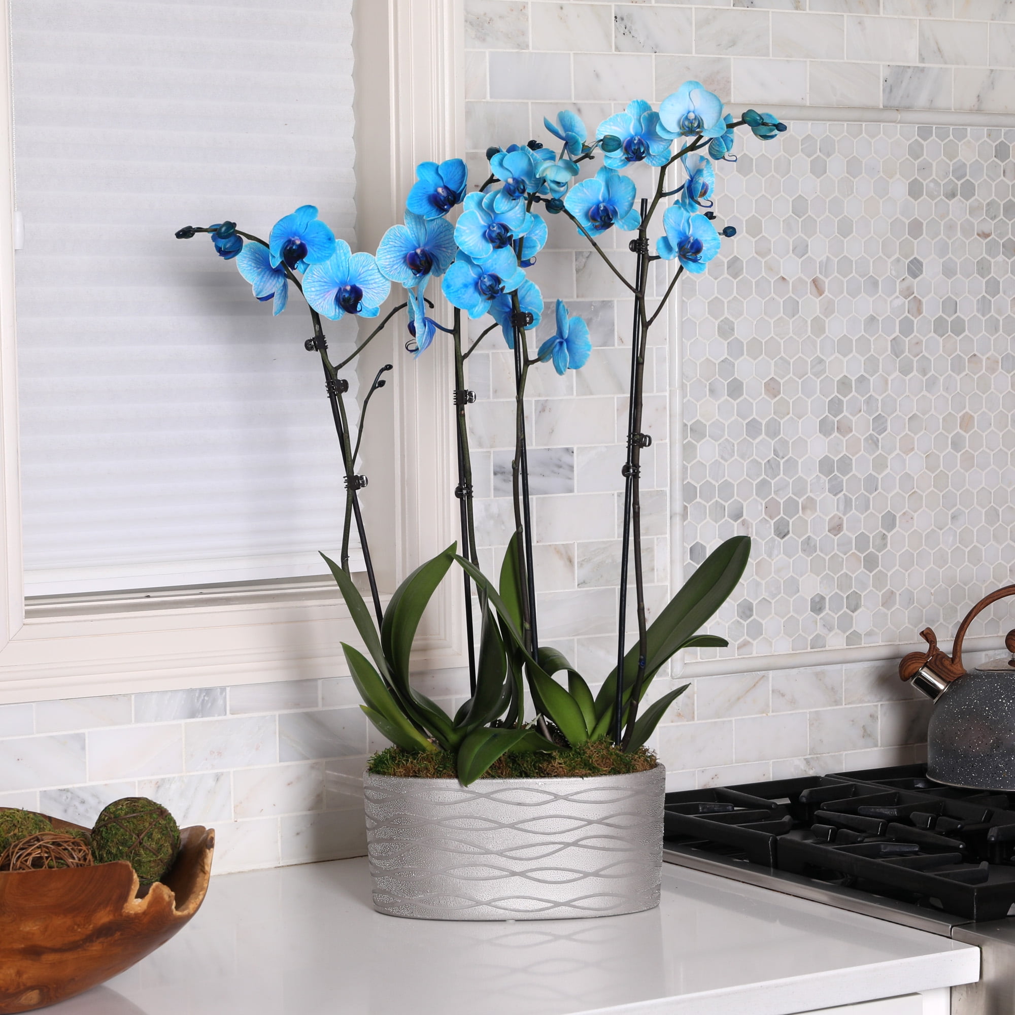 78bfc6b2-d89b-4e16-b278- 78bfc6b2-d89b-4e16-b278-