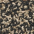 thumbnail image 3 of Alimento para pájaros silvestres Kaytee Cardinal Blend, 6,8 kg, 3 of 7