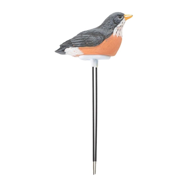 Avertisseur de Sol, Mesureur d'Humidité en Forme d'Oiseau, Bouton Remplaçable en Résine pour Mesurer le Sol