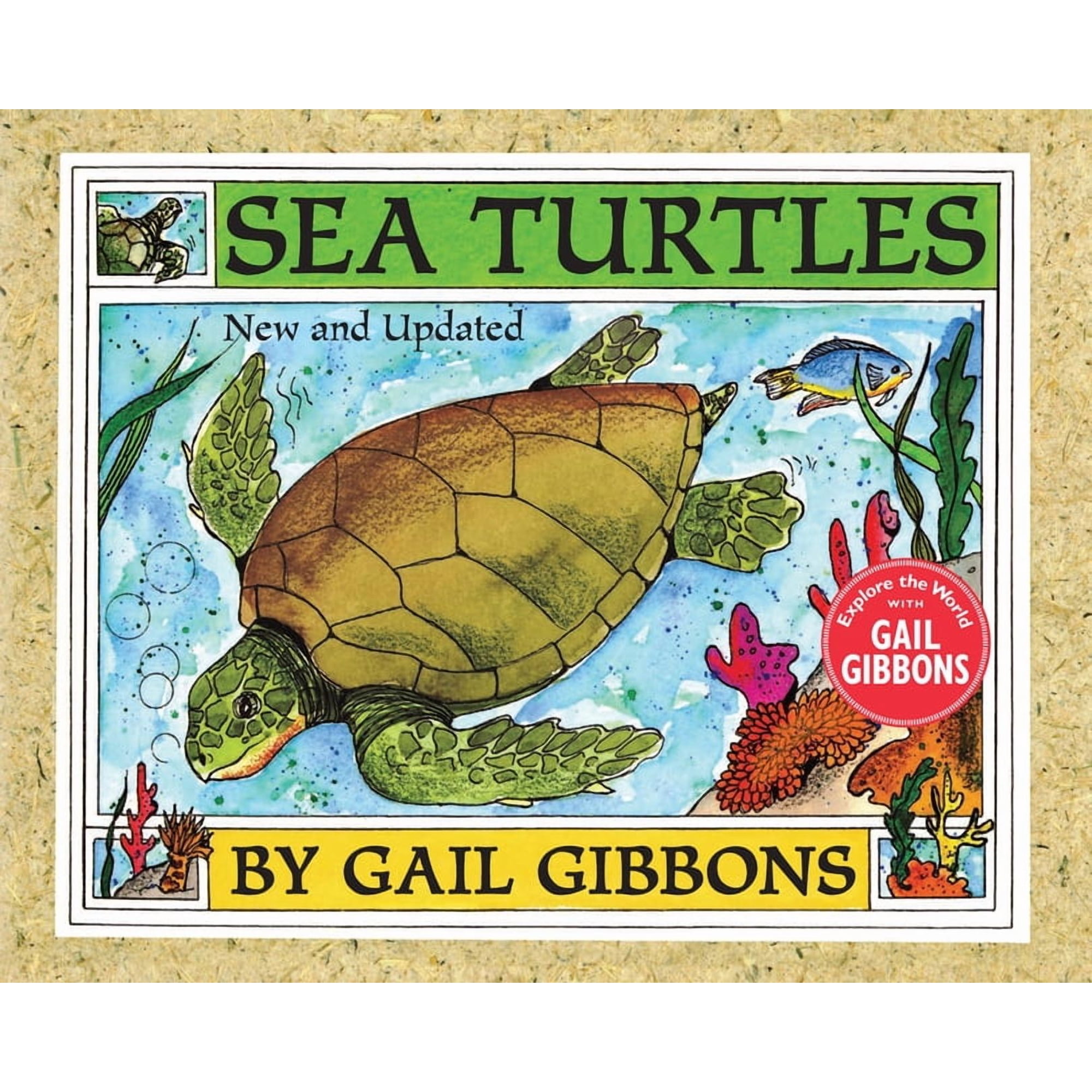 Sea Turtles (Paperback)
