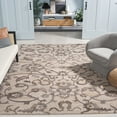 thumbnail image 2 of SAFAVIEH Anatolia Jamaar Floral Area Rug, Ivory/Brown, 8' x 10', 2 of 7