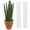🔥 B_New, variant on ufehgfjh Plastic Moss Pole Plant Support For Climbing Plants Stackable Sphagnum Moss Column 11.2 in x 1.6 in Durable Climbing Support For Monstera And Vining Indoor Outdoor Plant Stakes
