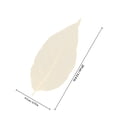 thumbnail image 4 of SHINYPASING 100Pcs White Skeleton Leaves for Craft Projects Bookmarks Greeting Cards and Decorations, 4 of 5