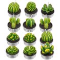 thumbnail image 1 of 12 velas de cactus, velas suculentas de plantas artificiales, velas de rosa de cera de té para el día de San Valentín para fiestas, bodas, día de la madre, regalos de decoración del hogar Ormromra HMHZ275-1, 1 of 7