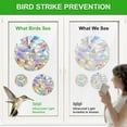 35 AntiCollision Bird Deflectors Rainbow Window Stickers Suncatchers