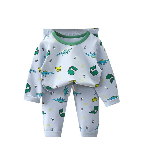 HBGVBA 2 Piece Casual Set for Kids Base Layer Outfits Print Long Sleeve Crewneck Cotton Top Elastic Waist Pants Comfortanble Outfit