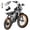 48V 20AH-2000W-rear rack, variant on Electric Bike for Adults Peak 2000W, 31MPH, 48V 15.6Ah Removable Battery, 30-70 Miles Range, 20" Fat Tire Electric UL2849