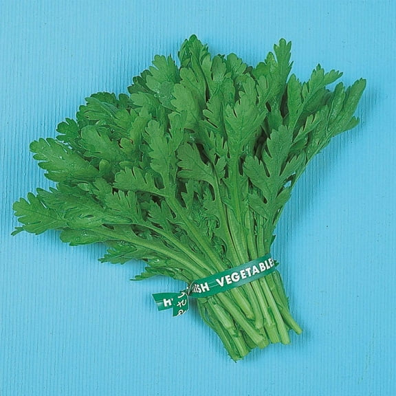 Chrysanthemum Greens Seeds - Garland Round Leaf - 1 Oz ~8400 Seeds - Non-GMO, Heirloom - Asian Edible Flower & Microgreens