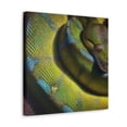 thumbnail image 5 of "Green Tree Python Shine" - Canvas, 5 of 25