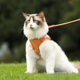 thumbnail image 2 of Pet Supplies Cat Traction Rope Anti-drop Vest Reflective Cat Walking Rope Cat Chest Strap, 2 of 6