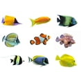thumbnail image 2 of Set Tropical Fish Wall Decal by Wallmonkeys Peel and Stick Graphic (12 in W x 9 in H) WM53070, 2 of 4