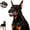 Type-B (with blood), variant on Halloween Monster Dog Muzzle with Teeth, Scary Muzzle for Dogs with Adjustable Straps, Dog Muzzle for Small Medium Large Dogs, Cosplay Party Costume