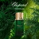 thumbnail image 2 of Perfume Chopard Cedar Malaki Eau de Parfum para hombre, 80 ml, 2 of 4