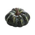 thumbnail image 2 of Simulation Pumpkin,artificial pumpkins for decorating faux pumpkins,Autumn Fake Small Pumpkin Fall Harvest Pumpkin,Simulation Mini Foam Pumpkins DIY Crafts Ornament,Lifelike Foam 4.5x7.5cm Green, 2 of 8