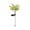 Pink66, variant on Iumwxz Solar Hydrangea Garden Stake Light, 60cm Tall Outdoor Solar Powered LED Landscape Light with Rainbow Colored Blades, Plastic and Metal Construction for Garden, Lawn, Walkway Decoration