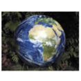thumbnail image 1 of PACON CORPORATION PAC73626 Boule de Terre 16 Pouces, 1 of 2