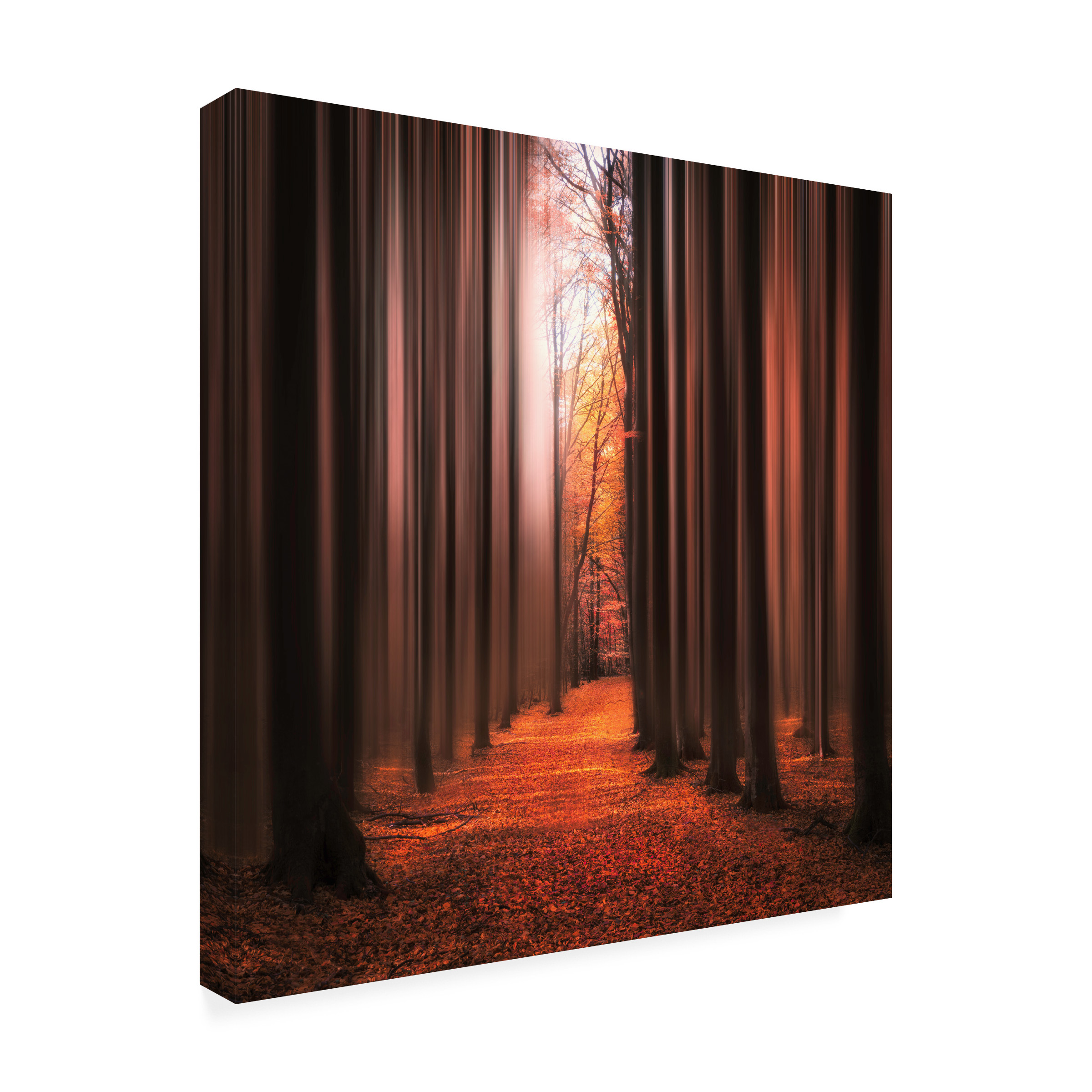 Christian Lindsten 'Dont Wake Me Up' Canvas Art