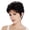 Black, variant on Short Pixie Cut Wig with Bangs for Women, Dark Brown Human Hair Blend Synthetic Wig, Natural Looking Hair Replacement Wigs(Black,28x18x5cm)