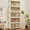 75cm wide, 5 layers, variant on 378QT Collapsible Stackable Storage Bins with Lids, Magnetic Doors and Wheels – White Folding Plastic Drawers for Bedroom, Kitchen, Office, and Home Organization