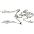 thumbnail image 2 of Frog Skeleton Halloween Decoration, 2 of 3