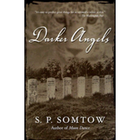 Pre-Owned Darker Angels (Paperback) 0312872410 9780312872410